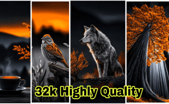 32K Highly Quality Wallpapers | 8K Smooth Aesthetic