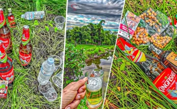 High Quality HDR Images App | Green Nature Free Future